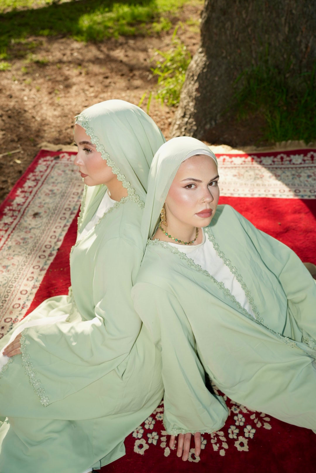 The Dalihya set
